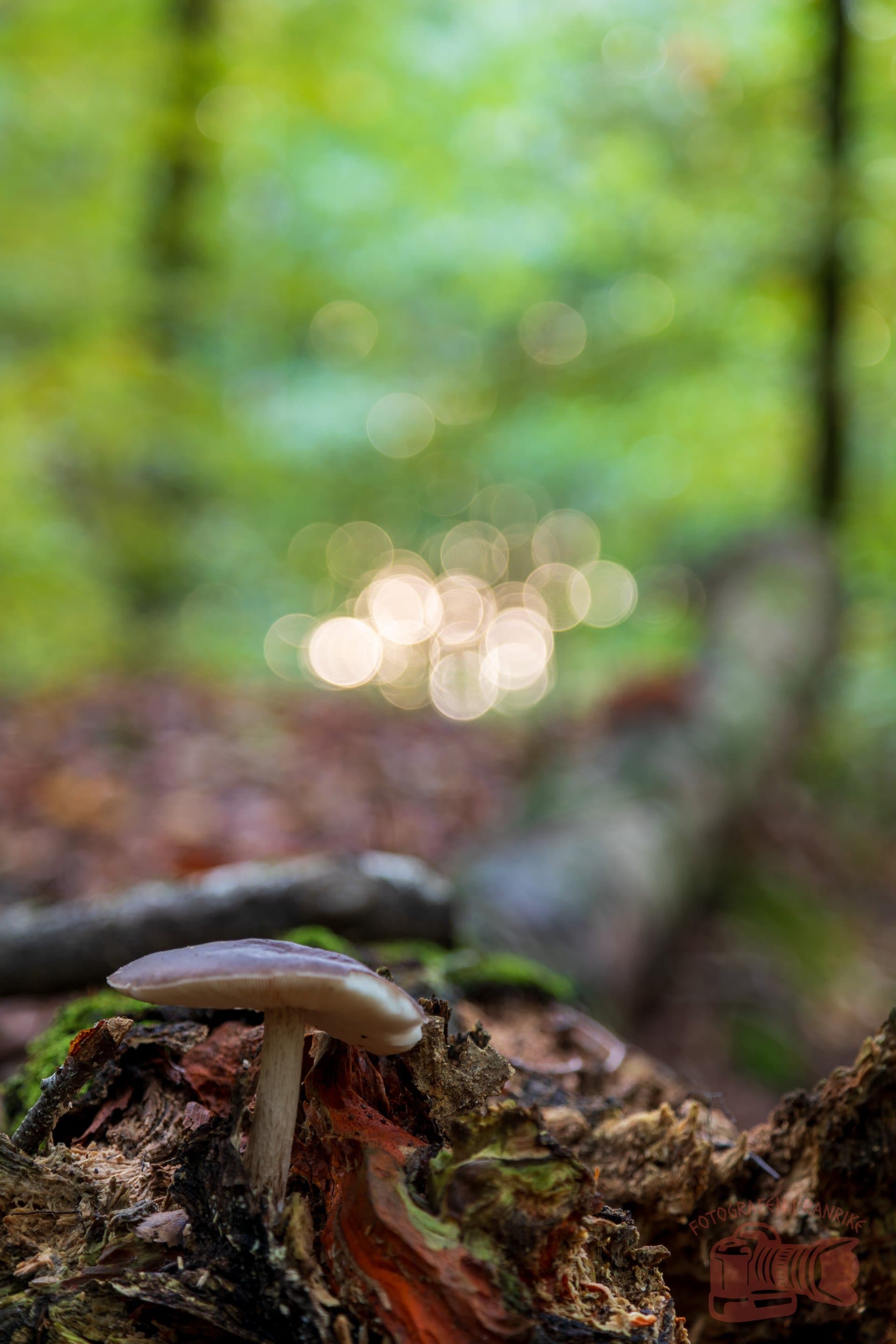 Gallery image 08102025-_KIV4395-HDR.jpg