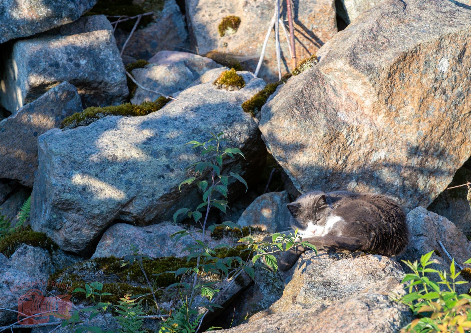 Gallery image 10072025-Redigerade-39.jpg