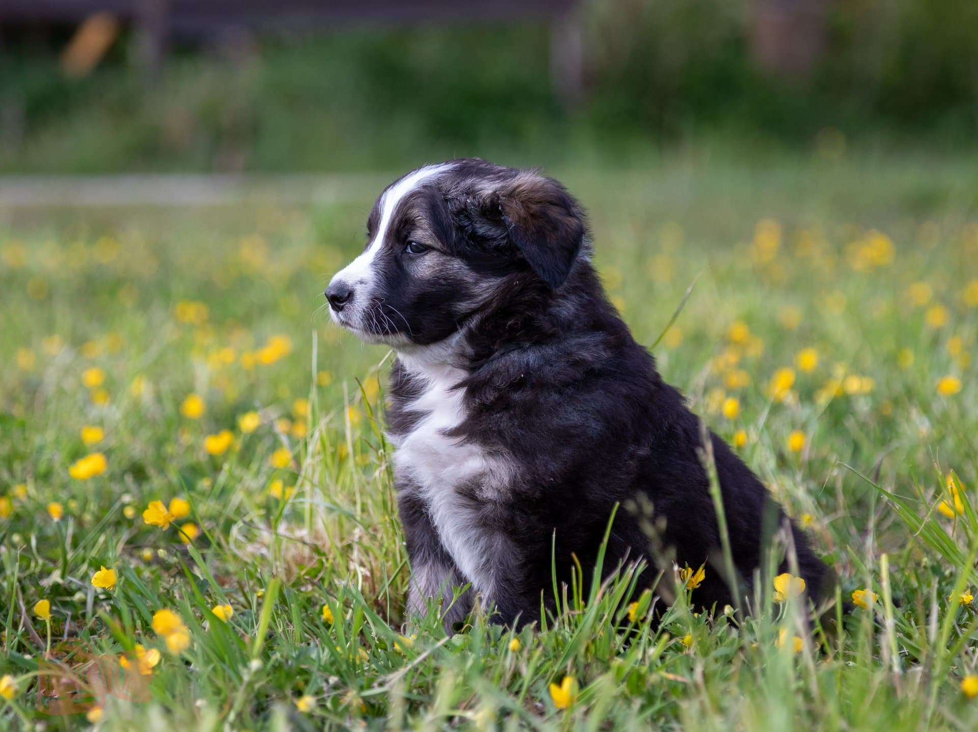 Gallery image 26052025-Redigerade-39.jpg