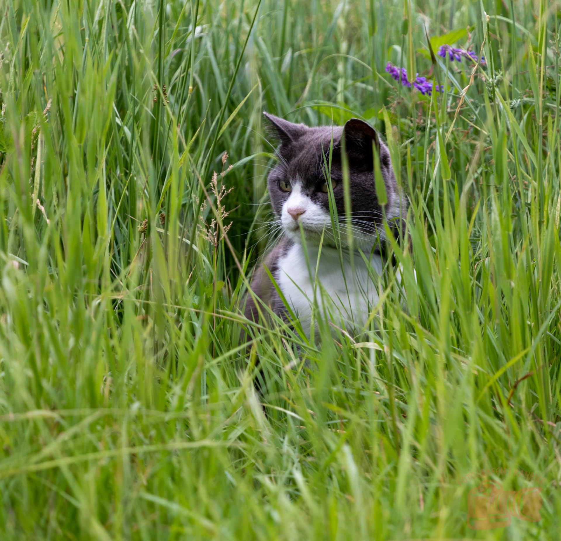 Gallery image 26072025-Redigerade-44.jpg